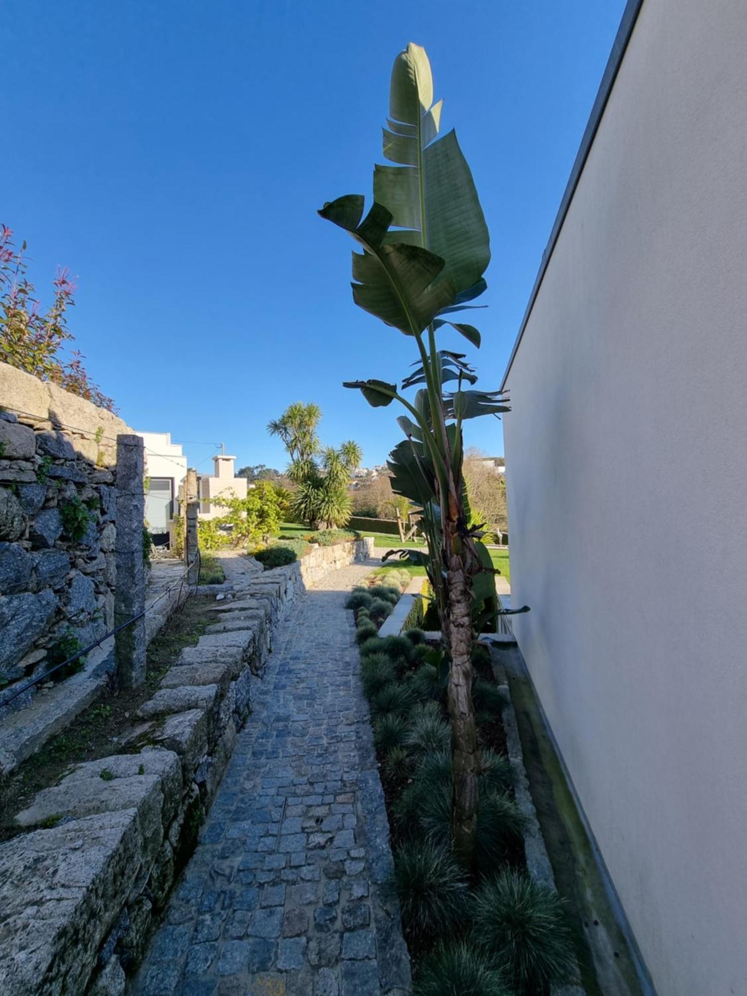 Casa Da Leira Villa Amarante Exterior foto