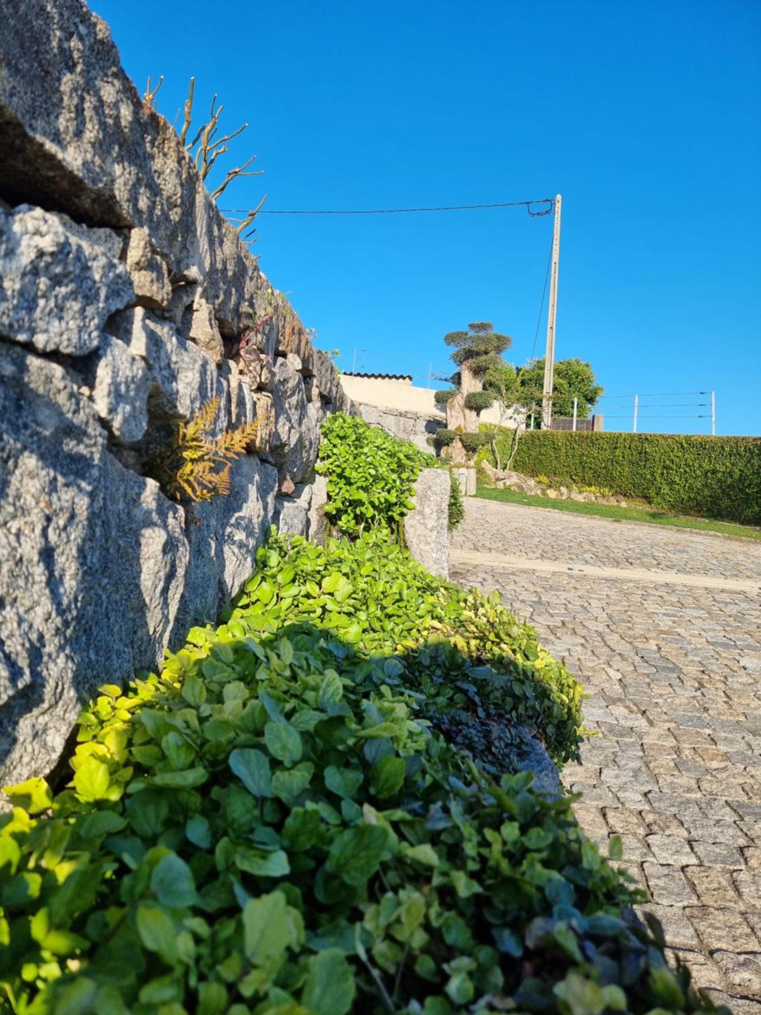 Casa Da Leira Villa Amarante Exterior foto