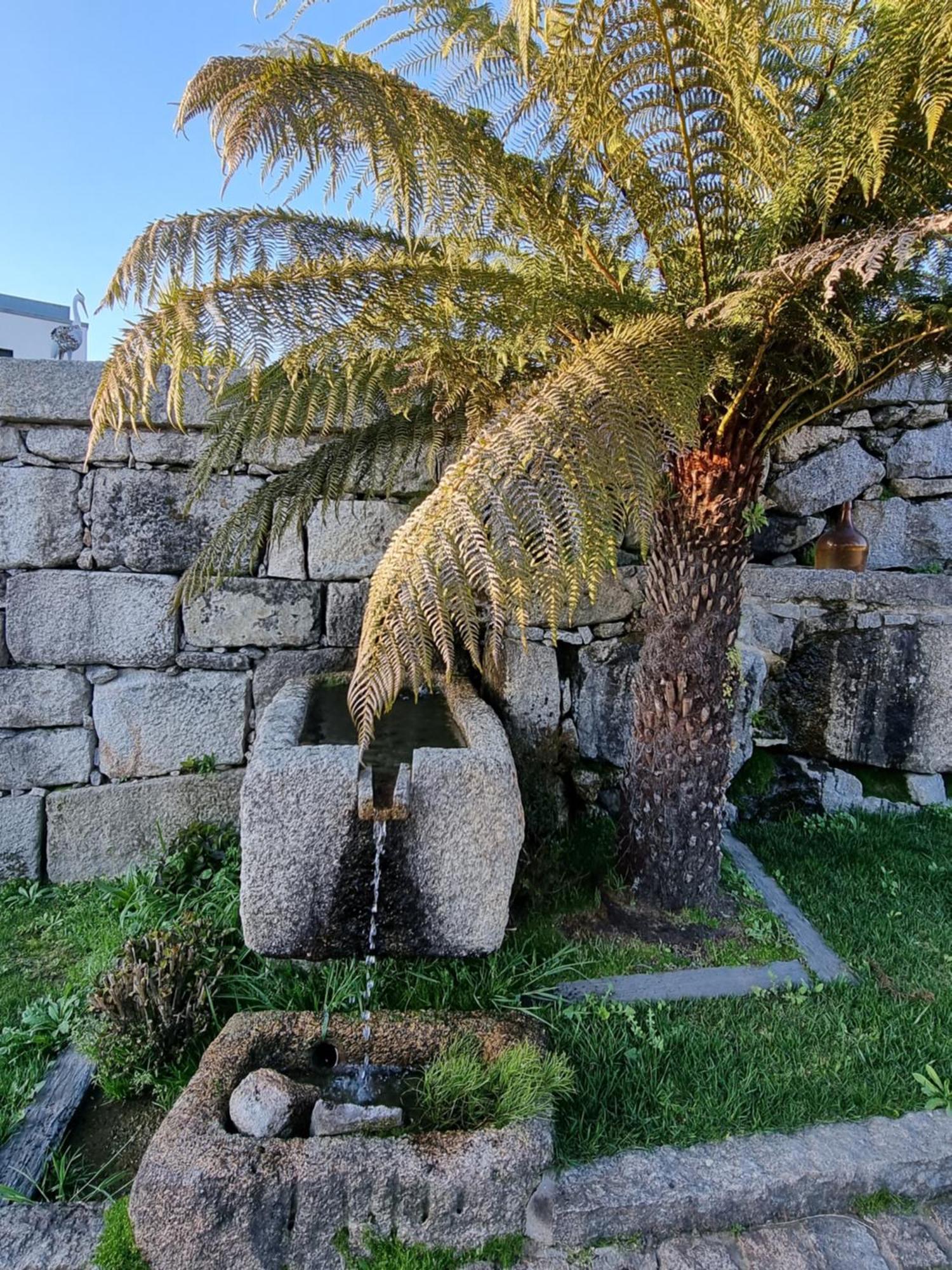 Casa Da Leira Villa Amarante Exterior foto